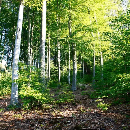 Jurta Les Park